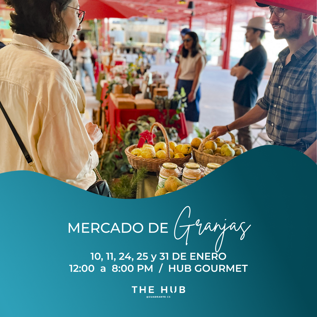 POST E HISTORIAS THE HUB (2)